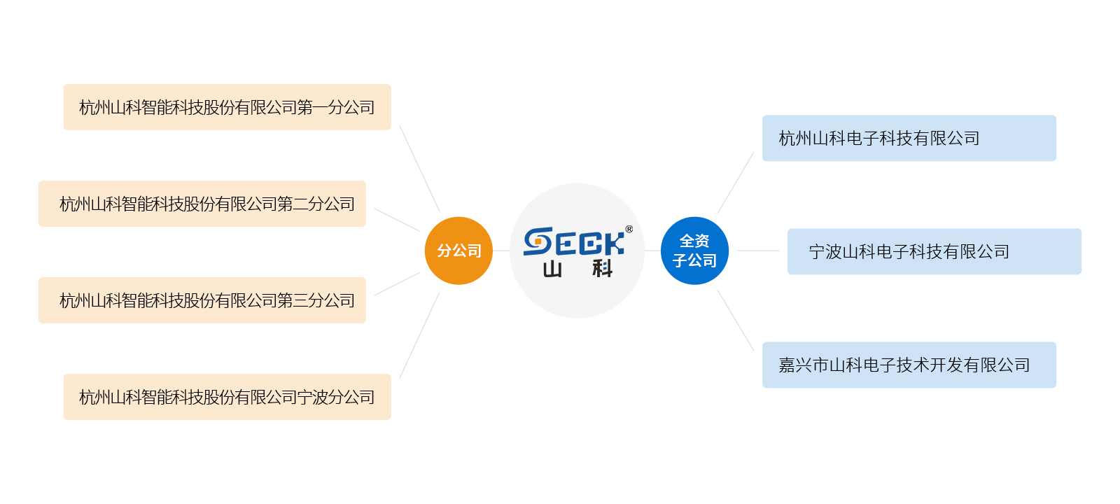 分子公司